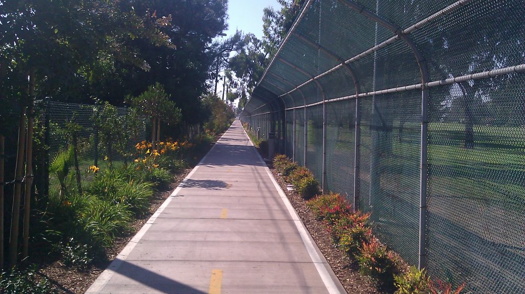 Walking path surrounded by greenery