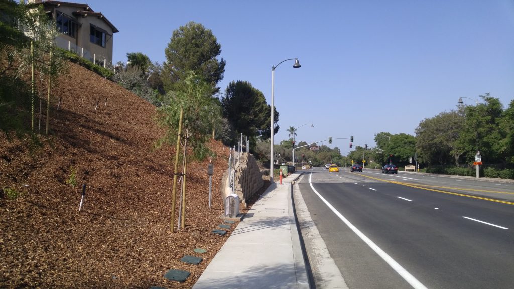 Roadside with trees and hillside